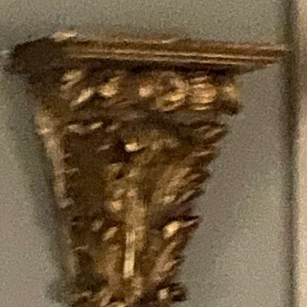 Meet your Posher, Misty